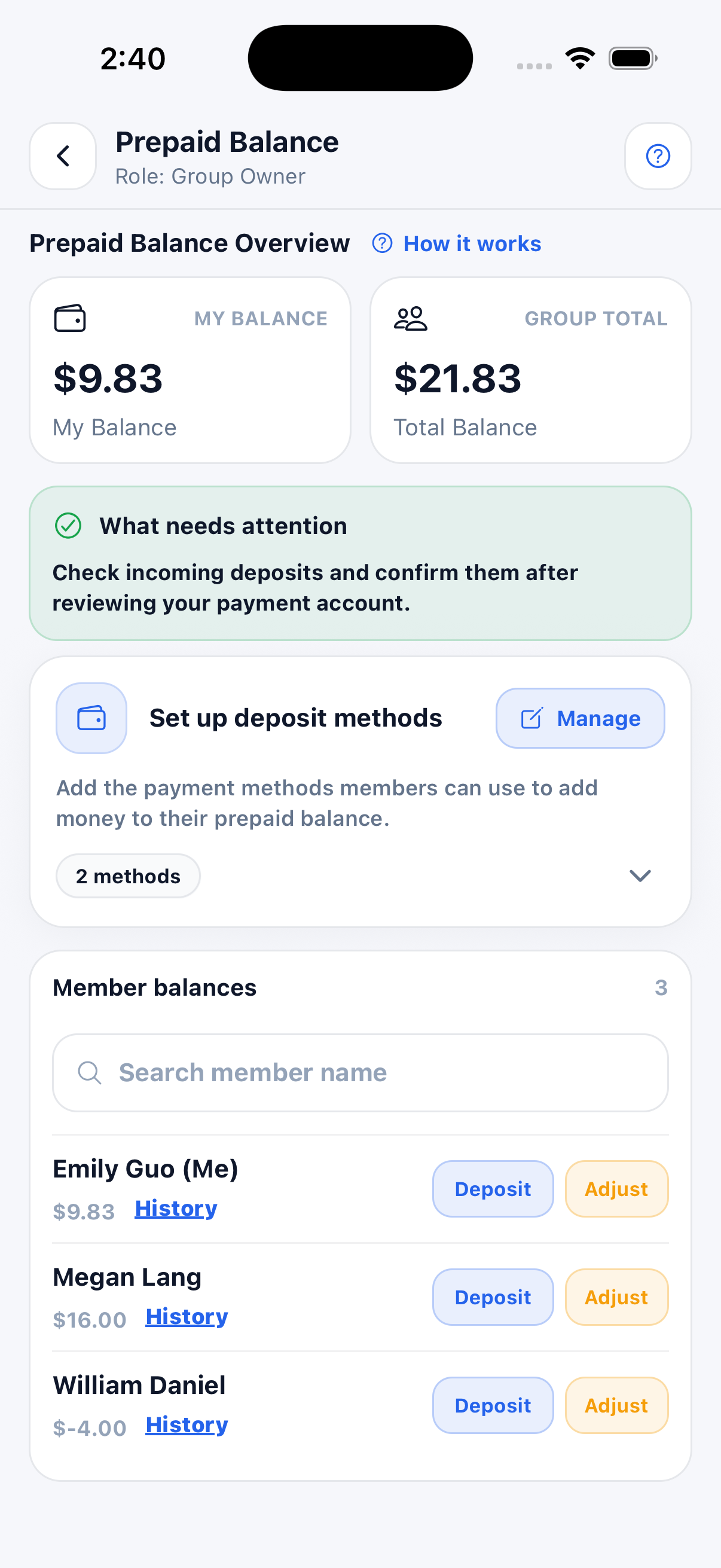 Current Prepaid Balance overview for a group owner